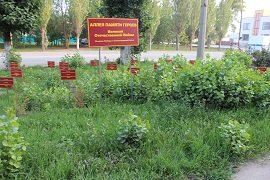 IMG_3993_0F1E7