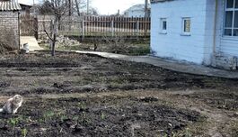 1/2 дома в п. Отрадное