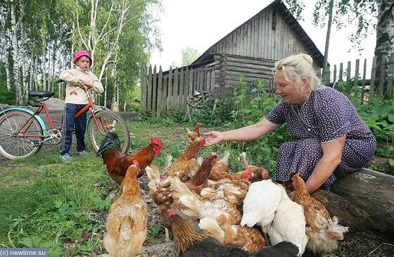 Заперт на разведение домашних животных